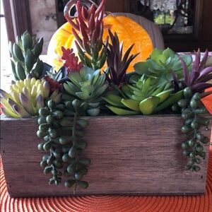 Rustic Wooden Planter with Lush Green Succulents
